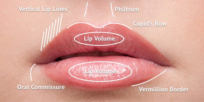 Introduction to dermal fillers techniques (Nurse)